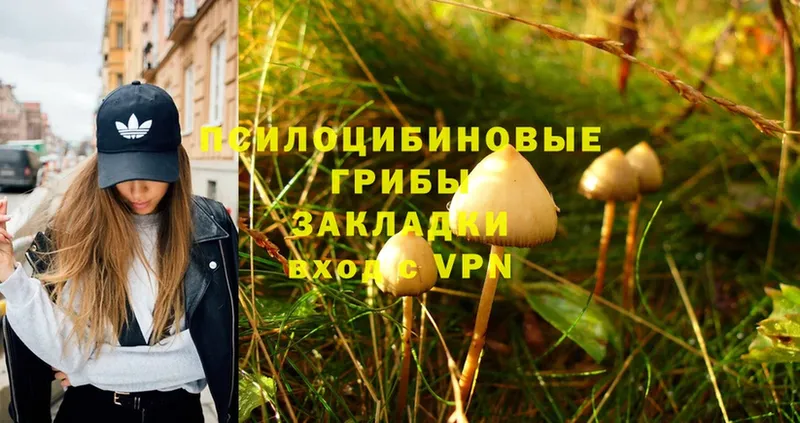 Галлюциногенные грибы Magic Shrooms  закладки  Рязань 